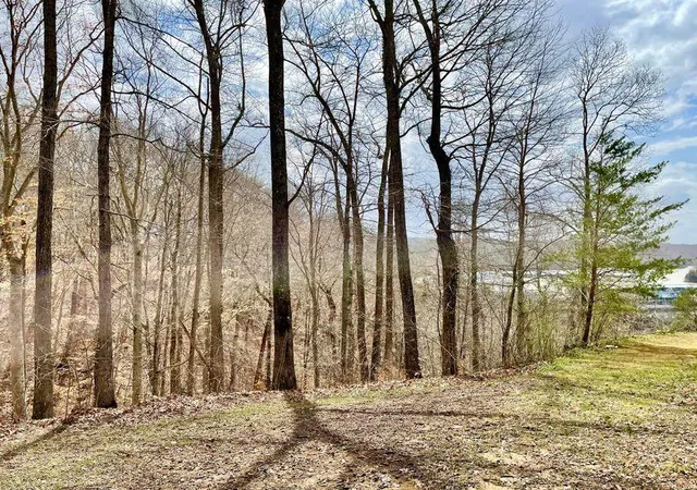 Photo 3 of Land for sale at 3 Marina Pointe Ct, Jamestown, KY 42629 | MLS# 24024257 | Listing updated on 2026-08-12