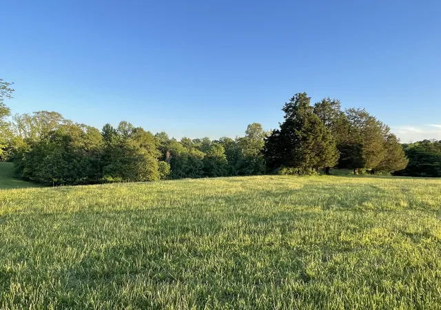 Photo 2 of Land for sale at Lot 20 Parks Ridge, Russell Springs, KY 42642 | MLS# 25008276 | Listing updated on 2025-11-11