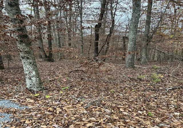 Photo 1 of Land for sale at Lot 26 Peach Tree Ln, Russell Springs, KY 42642 | MLS# 24024197 | Listing updated on 2025-09-26
