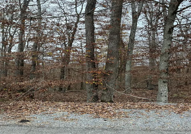 Photo 2 of Land for sale at Lot 26 Peach Tree Ln, Russell Springs, KY 42642 | MLS# 24024197 | Listing updated on 2025-09-26
