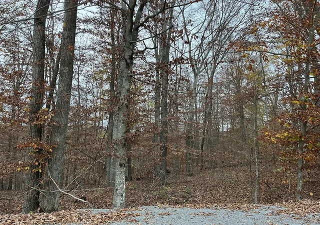 Photo 3 of Land for sale at Lot 26 Peach Tree Ln, Russell Springs, KY 42642 | MLS# 24024197 | Listing updated on 2025-09-26