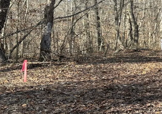 5th image of 1748 Denny Ridge Rd, Nancy, KY 42544 | MLS# 24003982