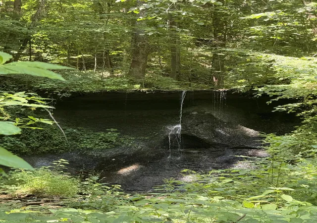 4th image of 855 Flatwoods Rd, Nancy, KY 42544 | MLS# 25010994