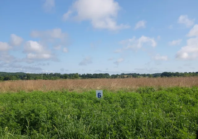Photo 4 of Land for sale at 42 Wolf Bend, East Bernstadt, KY 40729 | MLS# 22015224 | Listing updated on 2026-10-22