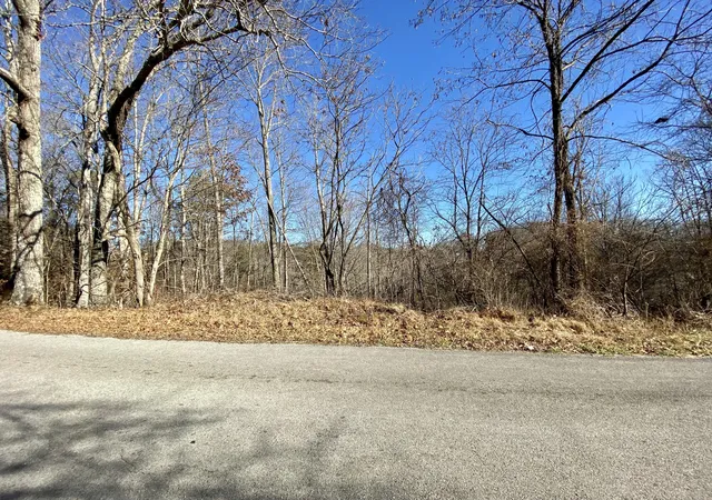 2nd image of 0 Bridge Hollow Rd, Somerset, KY 42503 | MLS# 23000464