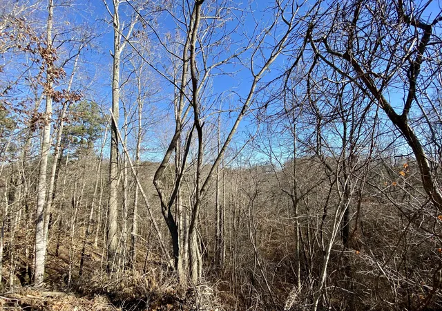 3rd image of 0 Bridge Hollow Rd, Somerset, KY 42503 | MLS# 23000464