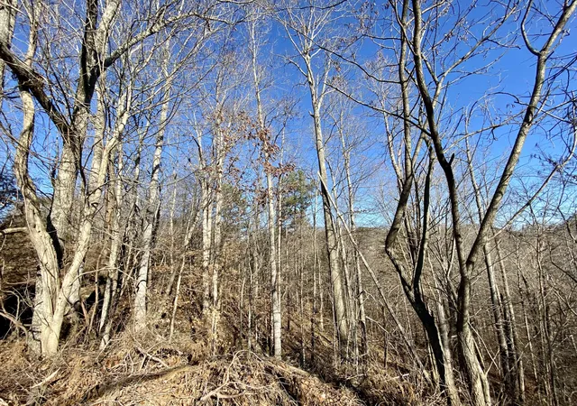 4th image of 0 Bridge Hollow Rd, Somerset, KY 42503 | MLS# 23000464