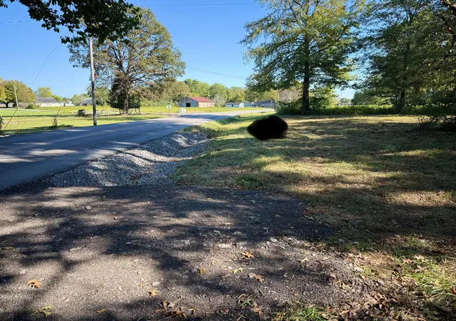 Photo 3 of Land for sale at Lot 3 Highway 619, Russell Springs, KY 42642 | MLS# 25008053 | Listing updated on 2025-11-12