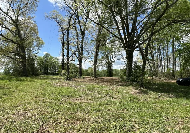 Photo 4 of Land for sale at Lot 3 Highway 619, Russell Springs, KY 42642 | MLS# 25008053 | Listing updated on 2025-11-12