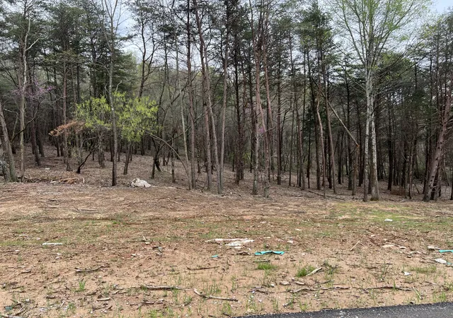 Photo 3 of Land for sale at Lot 14 Wayman''s Way, Somerset, KY 42503 | MLS# 25006822 | Listing updated on 2025-09-12