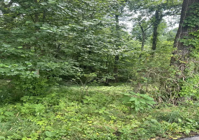 Photo 2 of Sale Pending at 111 Terrell Rd, Corbin, KY 40701 | MLS# 24016637 | Listing updated on 2026-09-11