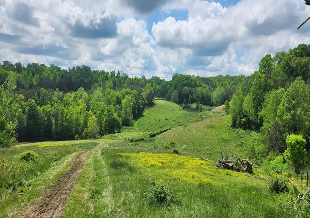 38th image of 9999 River Hill Rd, East Bernstadt, KY 40729 | MLS# 25006123