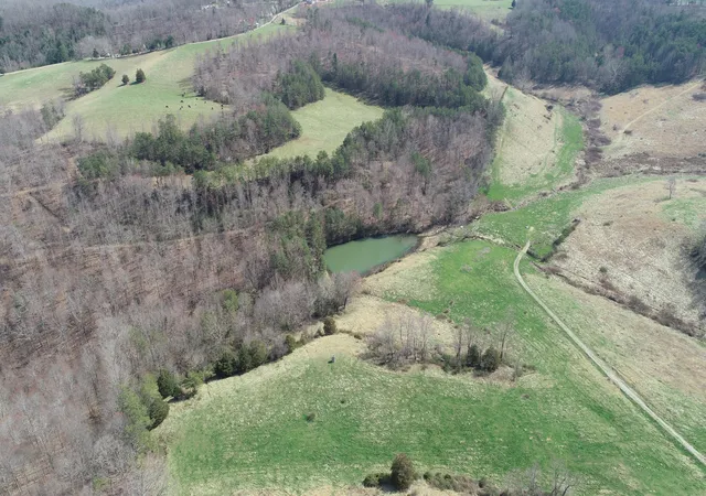 3rd image of 9999 River Hill Rd, East Bernstadt, KY 40729 | MLS# 25006123