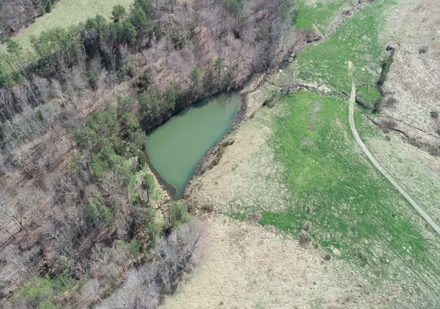 5th image of 9999 River Hill Rd, East Bernstadt, KY 40729 | MLS# 25006123