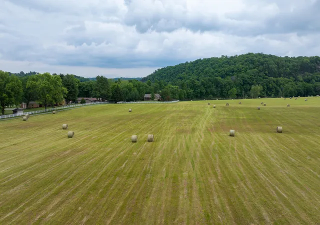 26th image of Tract 5 Steadmantown Ln, Frankfort, KY 40601 | MLS# 25016214