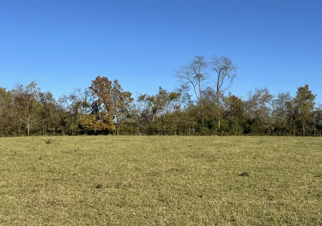 2nd image of 3725 Cynthiana Rd, Georgetown, KY 40324 | MLS# 24022430