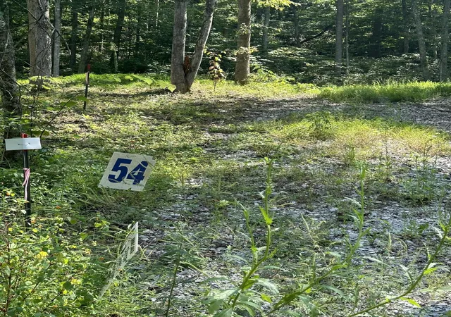 Photo 3 of Land for sale at 54 Yellowstone Dr, East Bernstadt, KY 40729 | MLS# 20124833 | Listing updated on 2025-09-26