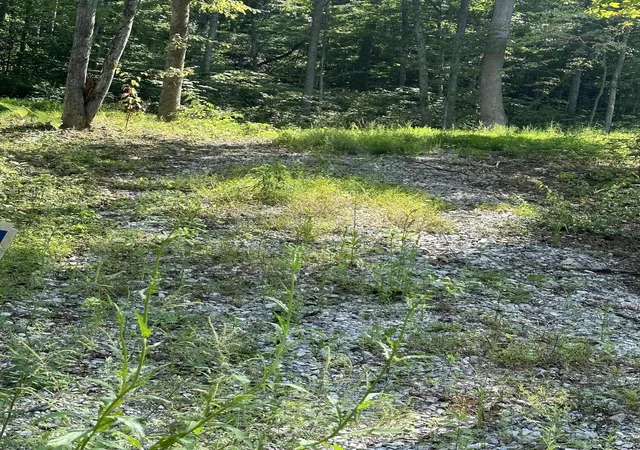 Photo 3 of Land for sale at 54 Yellowstone Dr, East Bernstadt, KY 40729 | MLS# 20124833 | Listing updated on 2025-09-26