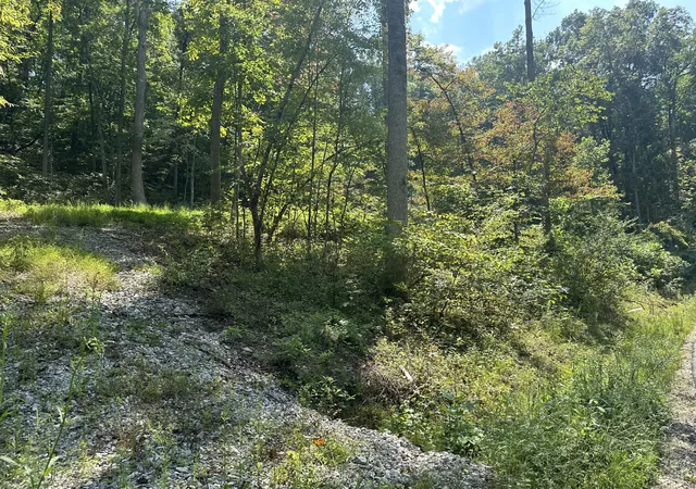 Photo 4 of Land for sale at 54 Yellowstone Dr, East Bernstadt, KY 40729 | MLS# 20124833 | Listing updated on 2025-09-26