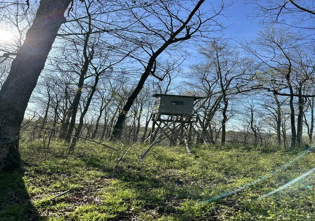 Photo 44 of Single family home for sale at 101 Crooked Crk Church Rd, Marion, KY 42064 | MLS# 25007488 | Listing updated on 2025-09-12