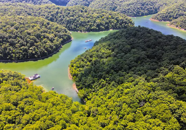 2nd image of 1119 Harmon Creek Rd, Monticello, KY 42633 | MLS# 25015262