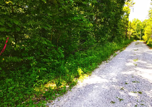 Photo 3 of Land for sale at 1119 Harmon Crk Rd, Monticello, KY 42633 | MLS# 25015262 | Listing updated on 2026-07-14