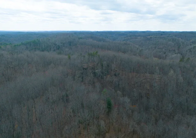 Photo 1 of Land for sale at 0 South Fork, Stanton, KY 40380 | MLS# 25012934 | Listing updated on 2025-09-27