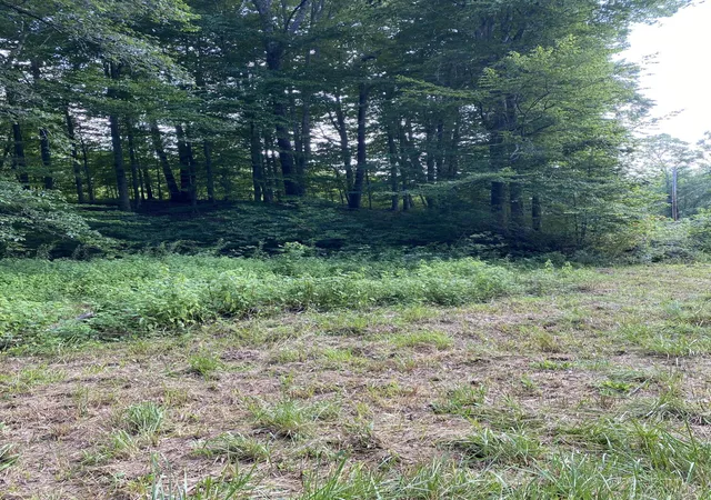 Photo 1 of Land for sale at 2745 Hopper Creek Rd, London, KY 40744 | MLS# 25013447 | Listing updated on 2025-09-12