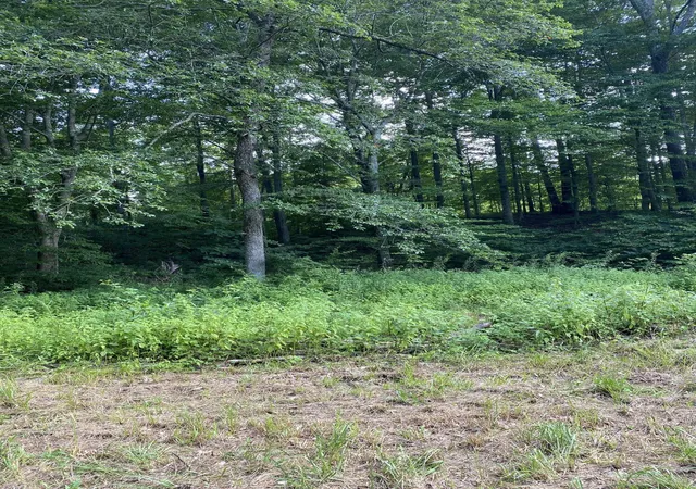 Photo 3 of Land for sale at 2745 Hopper Creek Rd, London, KY 40744 | MLS# 25013447 | Listing updated on 2025-09-12