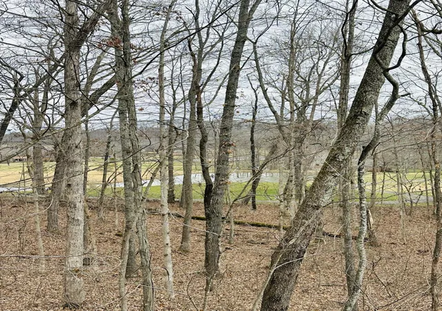 Photo 2 of Land for sale at 126 Beechwood Dr, London, KY 40744 | MLS# 25002539 | Listing updated on 2025-12-14