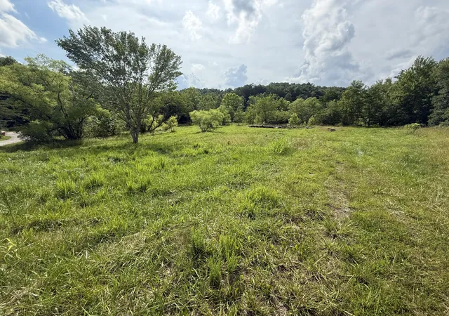 Photo 1 of Land for sale at 259 Nantz Rd, London, KY 40741 | MLS# 25014070 | Listing updated on 2025-11-30