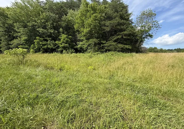 Photo 3 of Land for sale at 259 Nantz Rd, London, KY 40741 | MLS# 25014070 | Listing updated on 2025-11-30