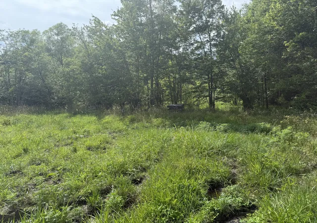 Photo 4 of Land for sale at 259 Nantz Rd, London, KY 40741 | MLS# 25014070 | Listing updated on 2025-11-30