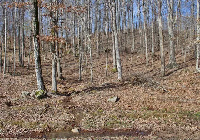 Homes for sale in Somerset, KY | 1282 Haynes Knob Rd, Somerset, KY 42501 | MLS# 25008027
