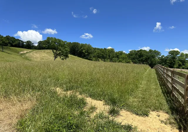 Photo 2 of Land for sale at 2506 Mount Zion Rd, East Bernstadt, KY 40729 | MLS# 22020298 | Listing updated on 2025-12-26