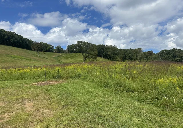 Photo 4 of Land for sale at 2506 Mount Zion Rd, East Bernstadt, KY 40729 | MLS# 22020298 | Listing updated on 2025-12-26
