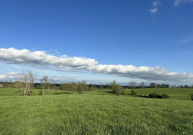 1st image of 3451 Cynthiana Rd, Georgetown, KY 40324 | MLS# 24022418