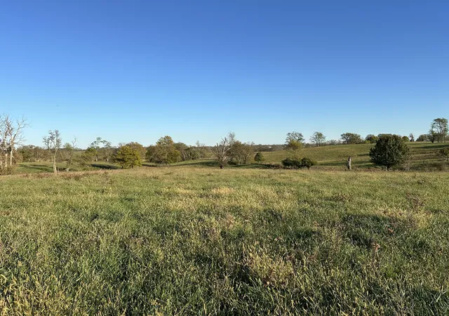 Photo 3 of Land for sale at 3451 Cynthiana Rd, Georgetown, KY 40324 | MLS# 24022418 | Listing updated on 2026-10-13