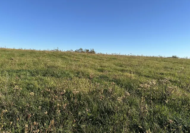 Photo 3 of Land for sale at 3451 Cynthiana Rd, Georgetown, KY 40324 | MLS# 24022418 | Listing updated on 2026-10-13