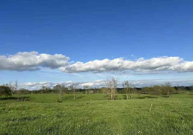 Photo 4 of Land for sale at 3451 Cynthiana Rd, Georgetown, KY 40324 | MLS# 24022418 | Listing updated on 2026-10-13