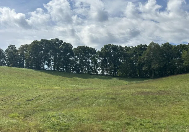 Photo 3 of Land for sale at 2508 Mount Zion Rd, East Bernstadt, KY 40729 | MLS# 22020301 | Listing updated on 2025-12-26