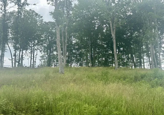 Photo 4 of Land for sale at 41 Malibu Dr, Corbin, KY 40701 | MLS# 22006182 | Listing updated on 2026-07-29
