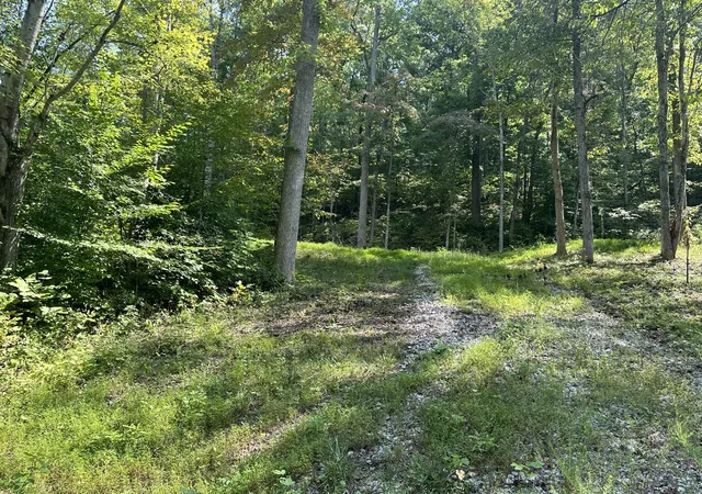 Photo 1 of Land for sale at 55 Yellowstone Dr, East Bernstadt, KY 40729 | MLS# 20124834 | Listing updated on 2025-09-26