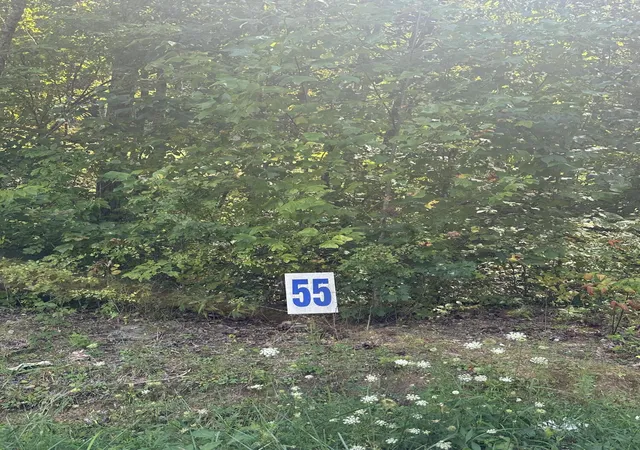 Photo 3 of Land for sale at 55 Yellowstone Dr, East Bernstadt, KY 40729 | MLS# 20124834 | Listing updated on 2025-09-26
