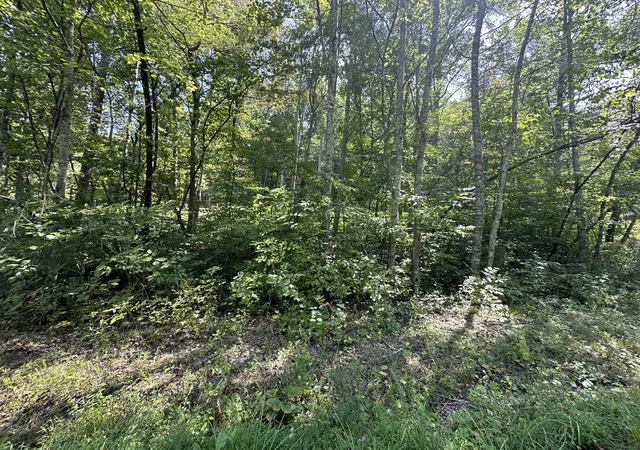 Photo 3 of Land for sale at 55 Yellowstone Dr, East Bernstadt, KY 40729 | MLS# 20124834 | Listing updated on 2025-09-26