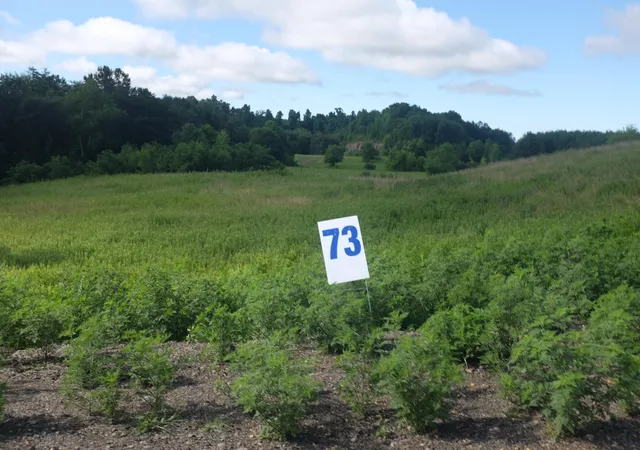 Photo 1 of Land for sale at 73 Bull Run, East Bernstadt, KY 40729 | MLS# 22015241 | Listing updated on 2026-10-22