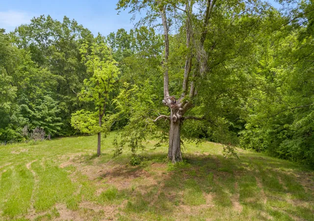 Photo 3 of Sale Pending at 275 Horns River Rd, Irvine, KY 40336 | MLS# 25012110 | Listing updated on 2026-08-31
