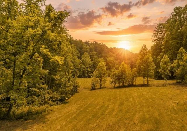 1st image of 275 Horns River Road Road, Irvine, KY 40336 | MLS# 25012110