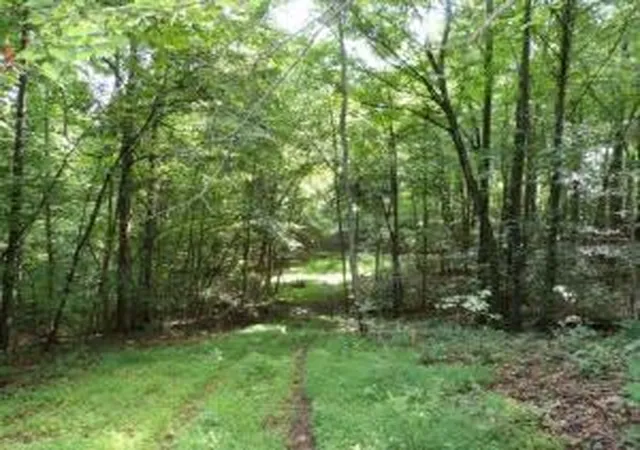 1st image of Tract 1 Off Green Stable Lane Lane, Monticello, KY 42633 | MLS# 20117775