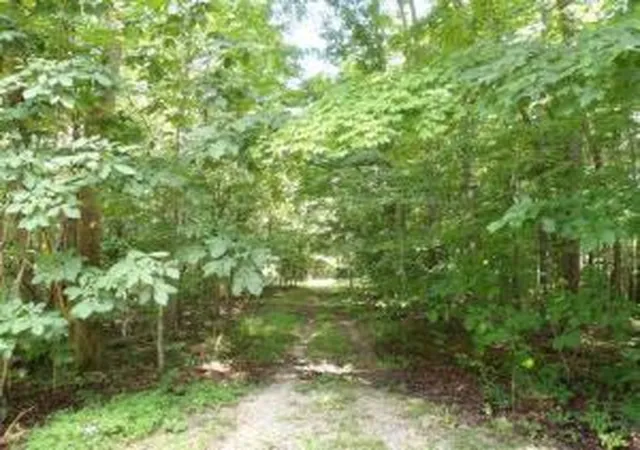 2nd image of Tract 1 Off Green Stable Lane Lane, Monticello, KY 42633 | MLS# 20117775